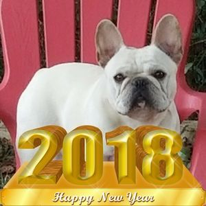 Meet your Posher, Denice